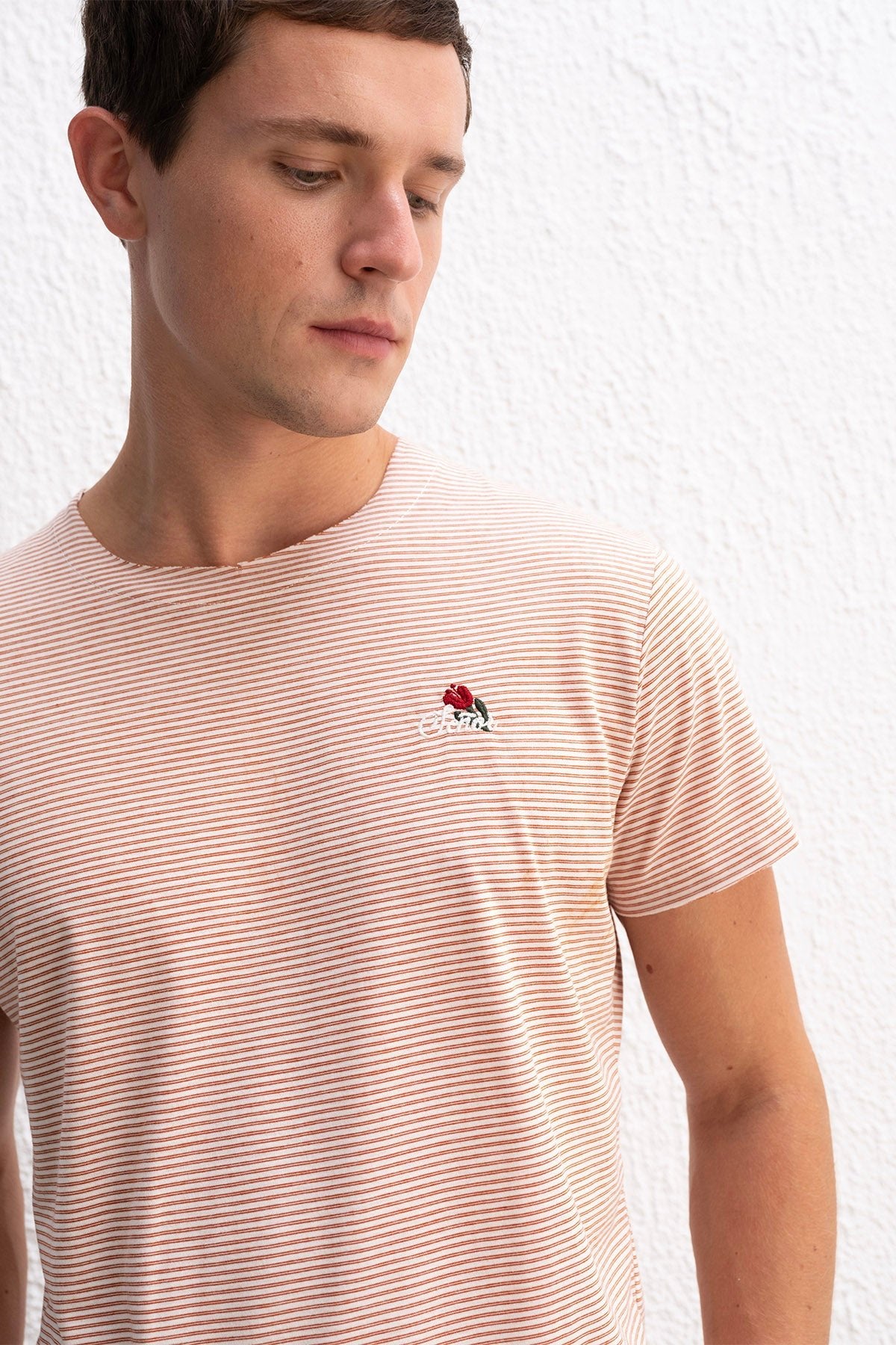 NAKIŞ DETAYLI ÇİZGİLİ KİREMİT T-SHIRT - T-SHIRT