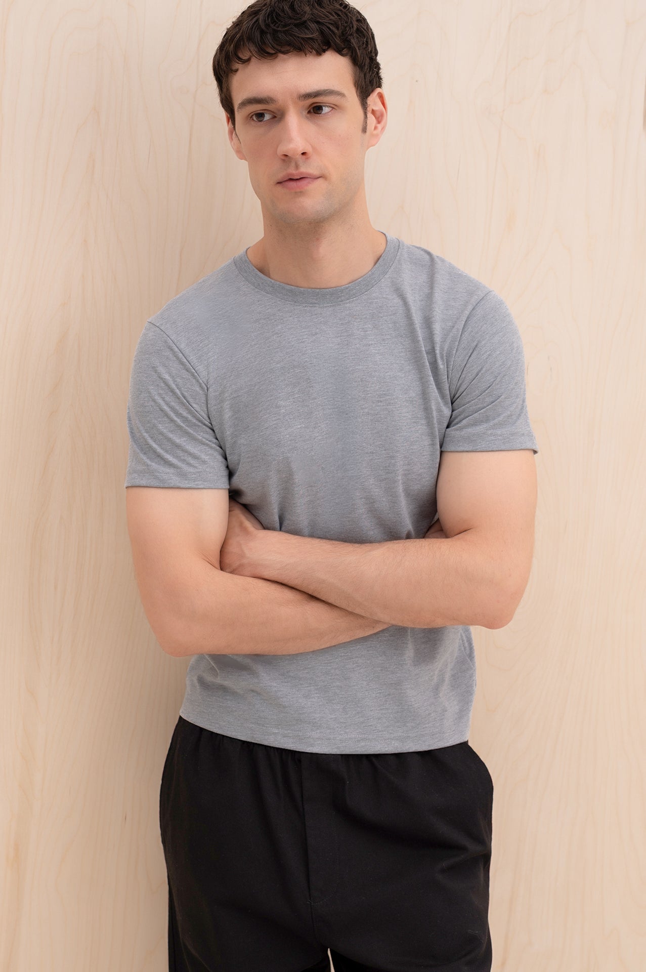 SHORT SLEEVE REGULAR FIT GREY T-SHIRT