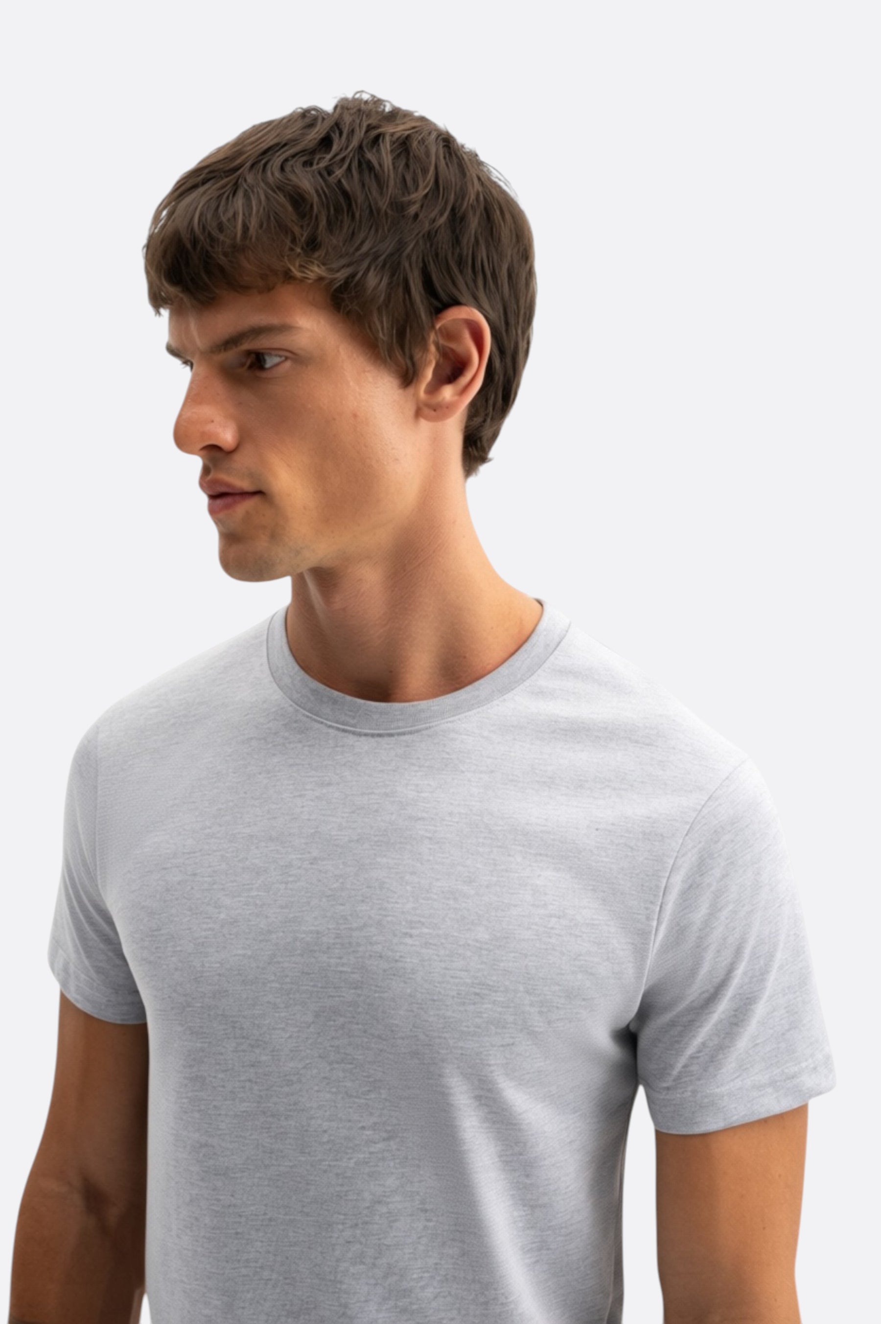 SHORT SLEEVE REGULAR FIT GREY T-SHIRT