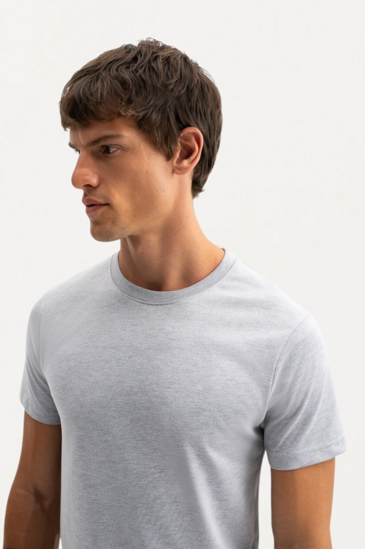 SHORT SLEEVE REGULAR FIT GREY T-SHIRT